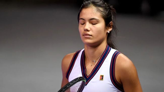 他展示了 他展示了